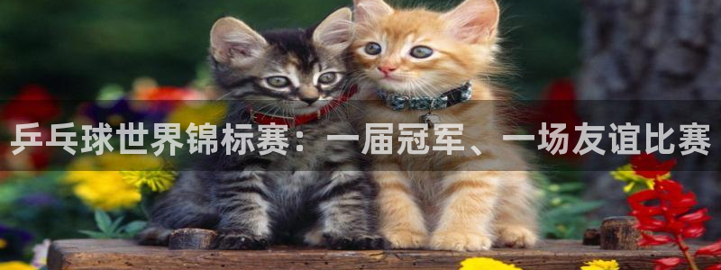  意昂2意昂2平台：乒乓球世界锦标赛：一届冠军、一场友谊比赛