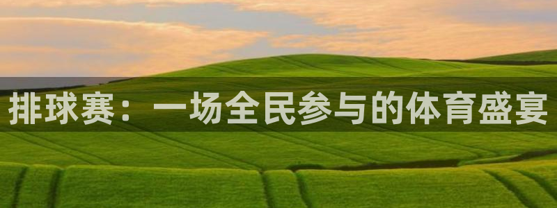 意昂2平台注册：排球赛：一场全民参与的体育盛宴