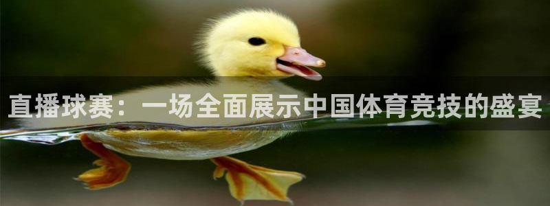 意昂2登录：直播球赛：一场全面展示中