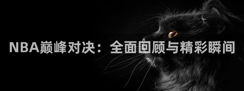  意昂2平台怎么样：NBA巅峰对决：全面回顾与精彩瞬间