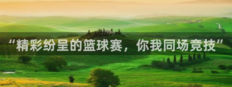  意昂2账号登录入口：“精彩纷呈的篮球赛，你我同场竞技”