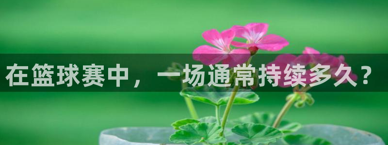  意昂2平台怎么样：在篮球赛中，一场通常持续多久？