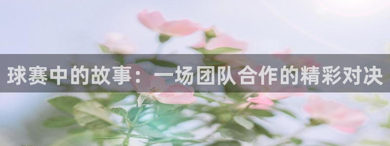 意昂2体育