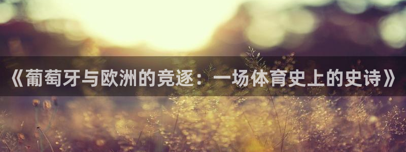 意昂2娱乐平台开户：《葡萄牙与欧洲的