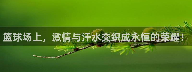 意昂2代理注册：篮球场上，激情与汗水
