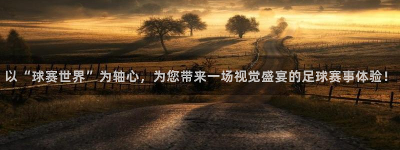 意昂2登录入口：以“球赛世界”为轴心，为您带来一场视觉盛宴的