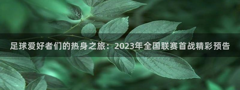  意昂2体育在线平台登录：足球爱好者们的热身之旅：2023年全