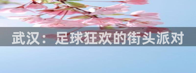 意昂2平台登录：武汉：足球狂欢的街头派对