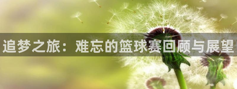 意昂2登录地址：追梦之旅：难忘的篮球赛回顾与展望