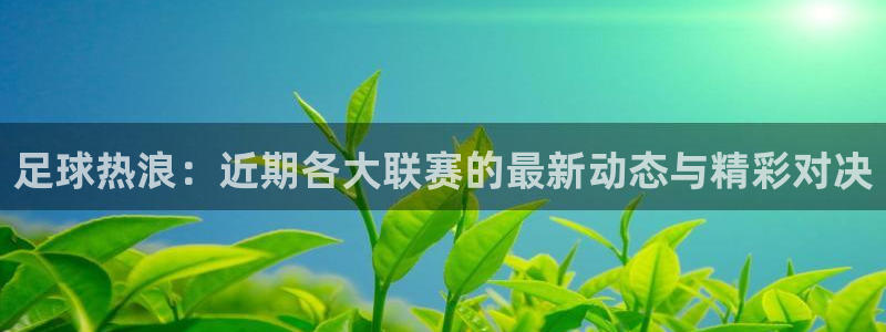 意昂2娱乐平台开户：足球热浪：近期各大联赛的最新动态与精彩对