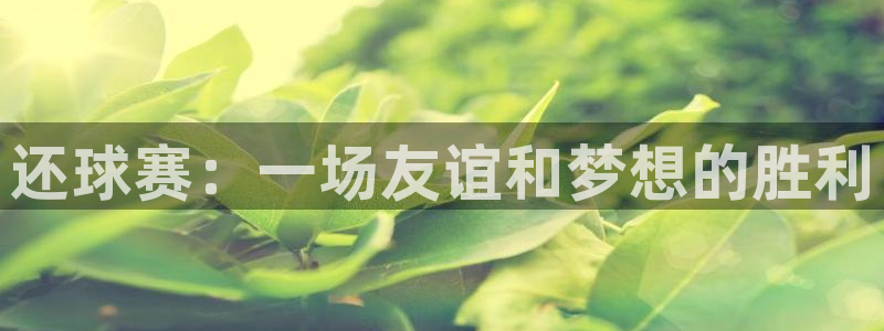  意昂2平台：还球赛：一场友谊和梦想的胜利