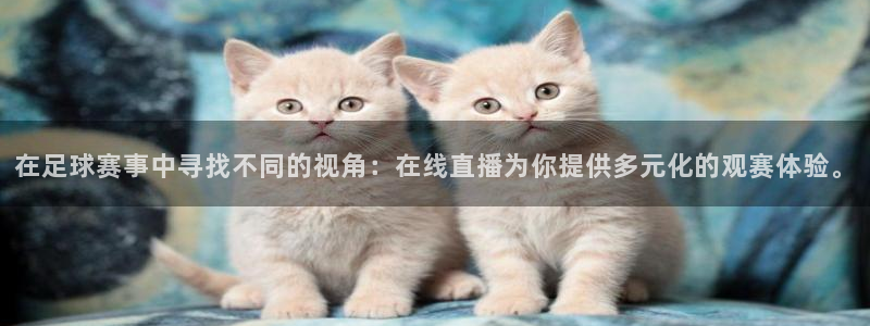 意昂2登录：在足球赛事中寻找不同的视角：在线直播为你提供多元