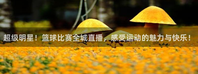 意昂2账号登录入口：超级明星！篮球比赛全城直播，感受运动的魅