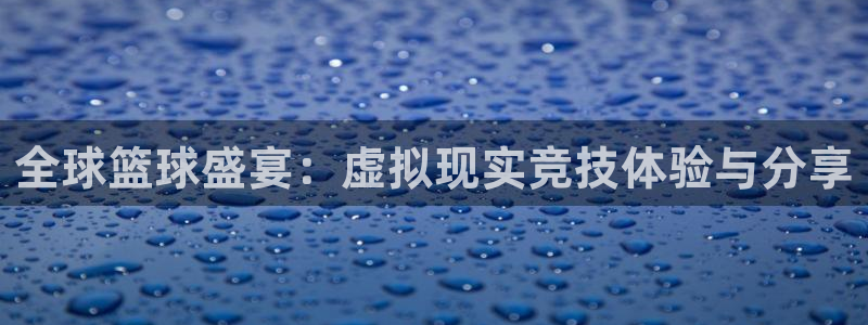 意昂2登录入口：全球篮球盛宴：虚拟现实竞技体验与分享