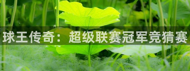 意昂2体育在线平台登录：球王传奇：超级联赛冠军竞猜赛
