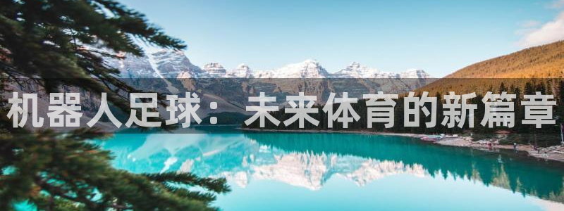 意昂2登录地址：机器人足球：未来体育的新篇章