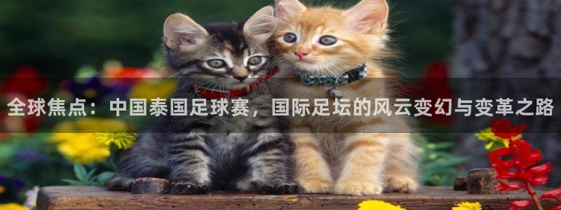  意昂2登录入口：全球焦点：中国泰国足球赛，国际足坛的风云变幻