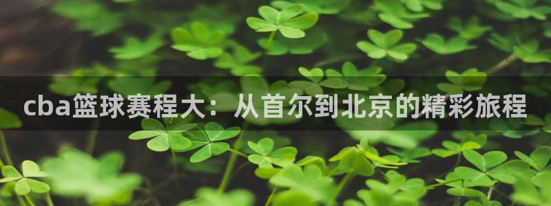  意昂2平台注册：cba篮球赛程大：从首尔到北京的精彩旅程