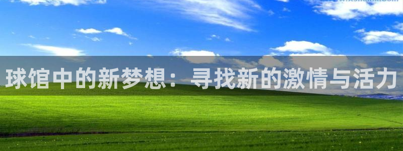意昂2登录：球馆中的新梦想：寻找新的激情与活力