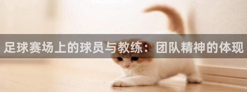  意昂2体育：足球赛场上的球员与教练：团队精神的体现