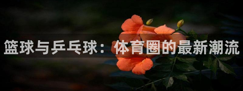意昂2登录注册：篮球与乒乓球：体育圈的最新潮流