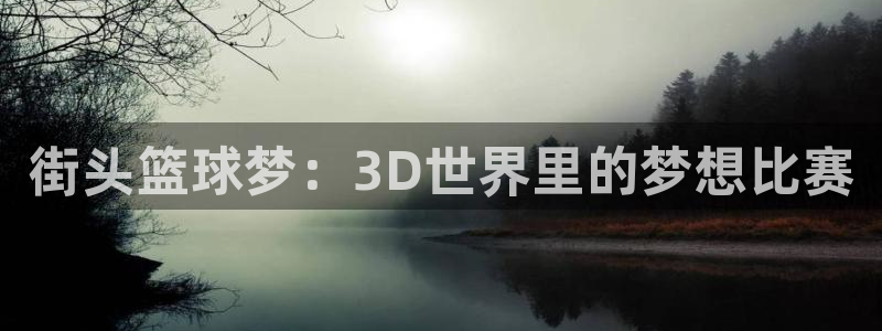 意昂2官网：街头篮球梦：3D世界里的梦想比赛